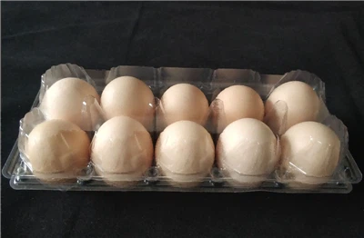 الصواني المشكلة بالحرارة: الحل متعدد الاستخدامات الذي يقود التغليف الحديث وال...